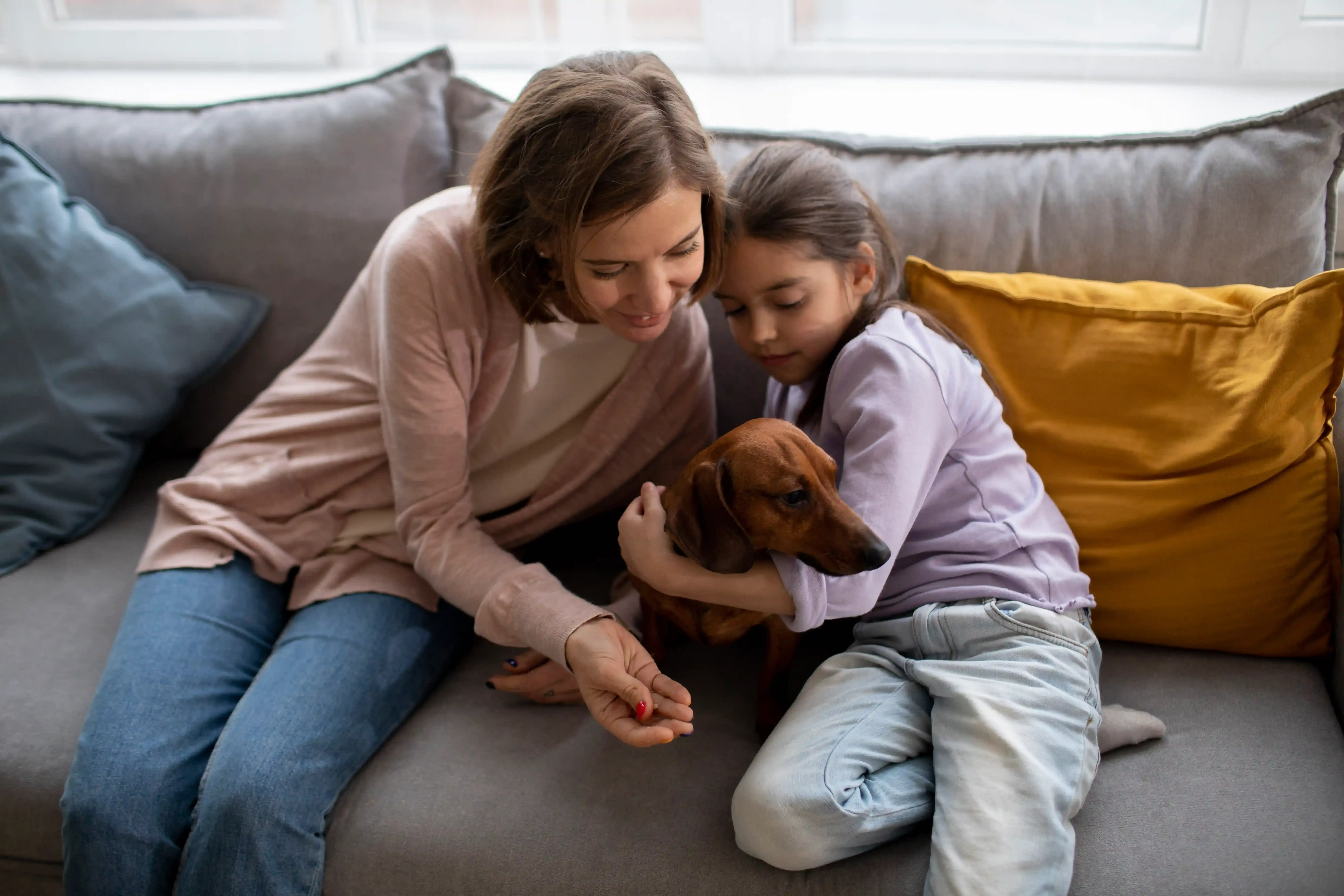 ESA Letter (Emotional Support Animal)